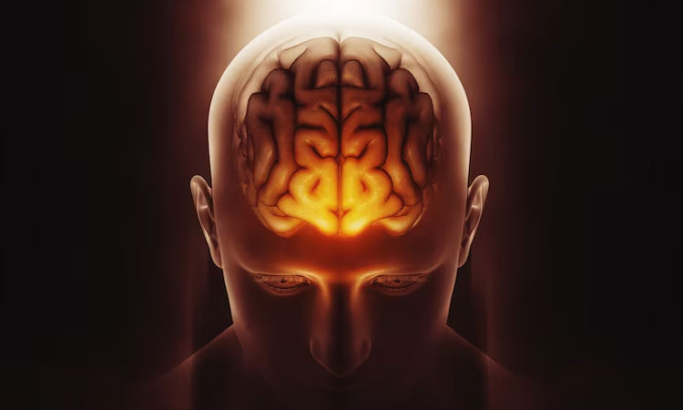 Kesehatan Tubuh Dan Pikiran